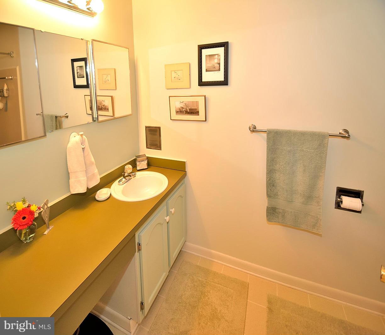 1608 Waters Edge Lane Reston, VA 20190 - Photo 15 of 27 a bathroom with a sink and a mirror