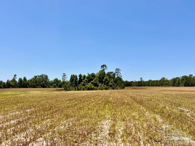 $65,000 | Lot 51 Mineral Springs Road, Jay, FL 32565