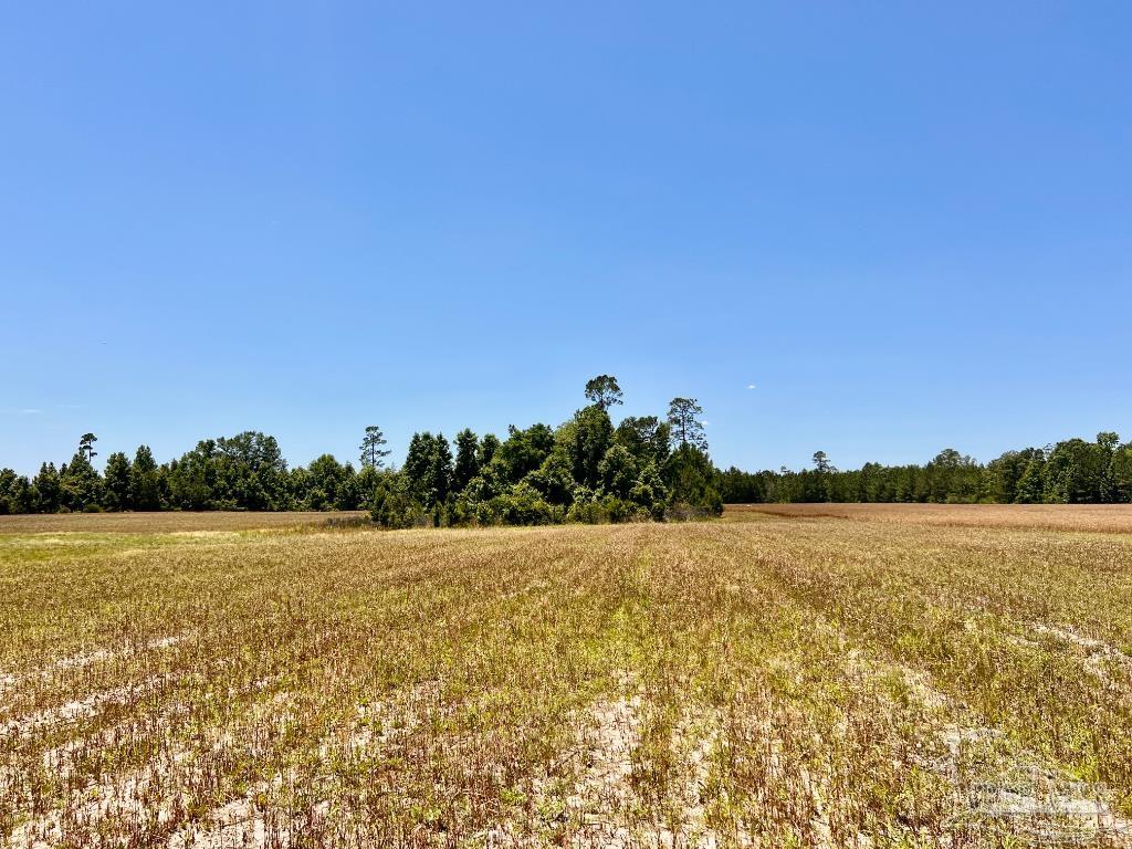 Lot 51 Mineral Springs Road Jay, FL 32565 - Photo 11 of 15