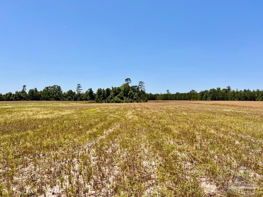 Lot 51 Mineral Springs Road Jay, FL 32565 - Photo 12 of 15