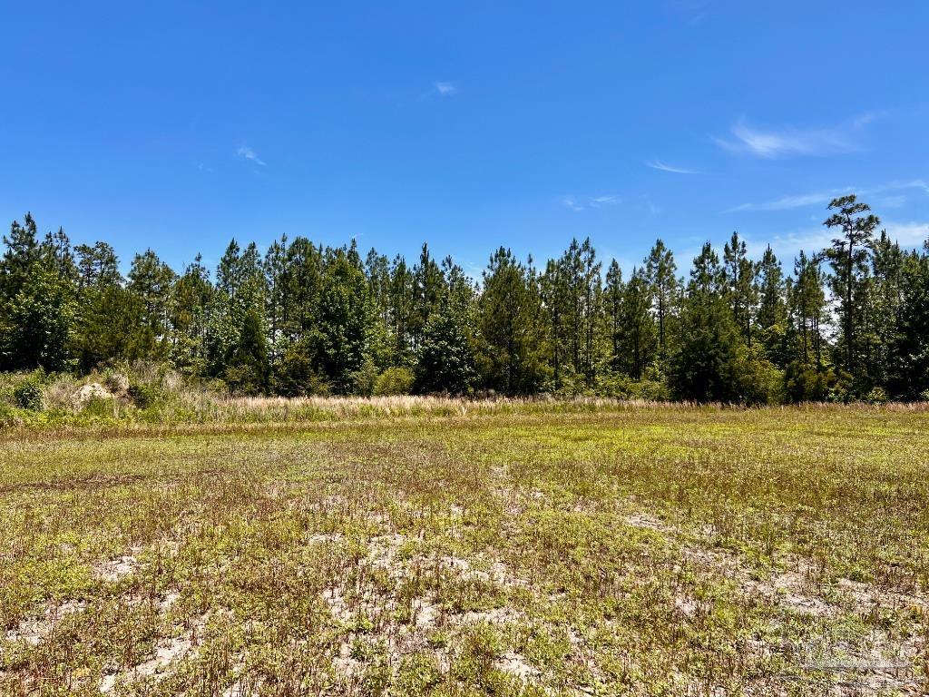 Lot 51 Mineral Springs Road Jay, FL 32565 - Photo 13 of 15