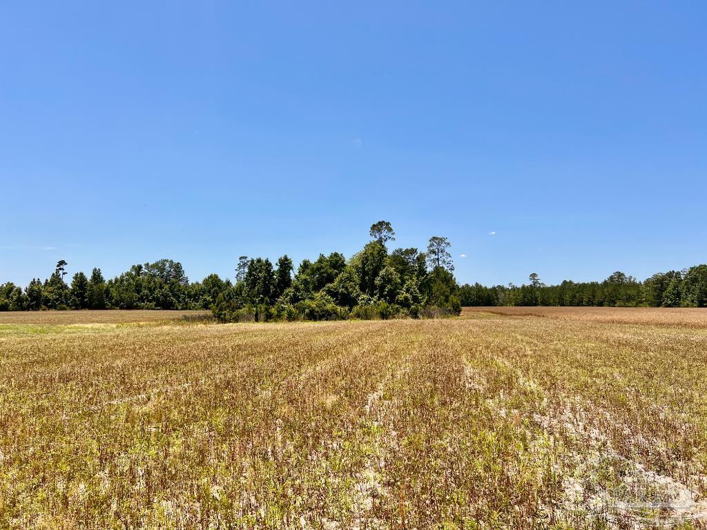 Lot 51 Mineral Springs Road Jay, FL 32565 - Photo 14 of 15
