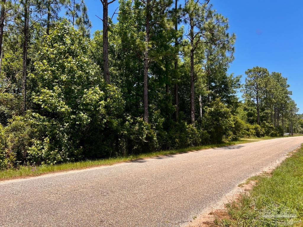 Lot 51 Mineral Springs Road Jay, FL 32565 - Photo 3 of 15