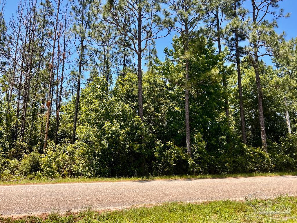 Lot 51 Mineral Springs Road Jay, FL 32565 - Photo 5 of 15
