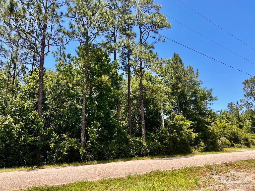 Lot 51 Mineral Springs Road Jay, FL 32565 - Photo 6 of 15