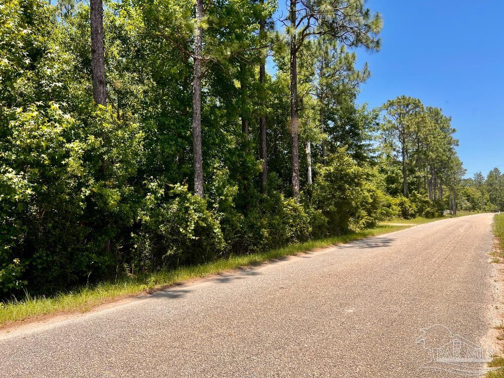 Lot 51 Mineral Springs Road Jay, FL 32565 - Photo 7 of 15