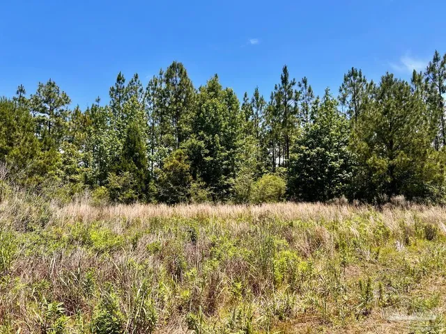 $65,000 | Lot 51 Mineral Springs Road, Jay, FL 32565