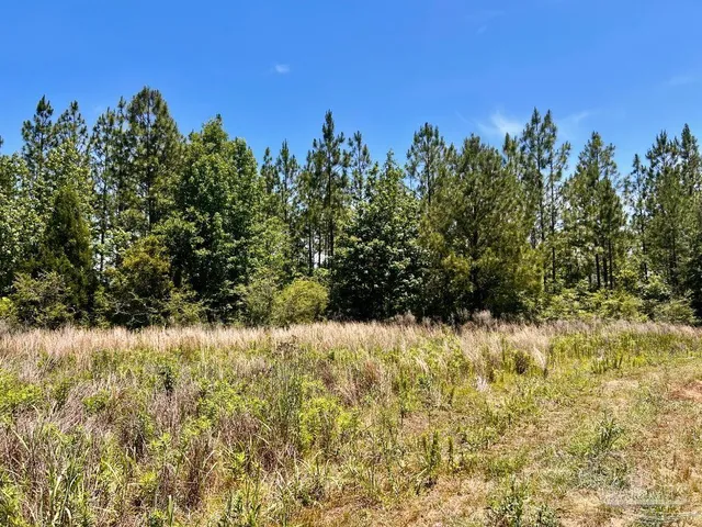 $65,000 | Lot 51 Mineral Springs Road, Jay, FL 32565