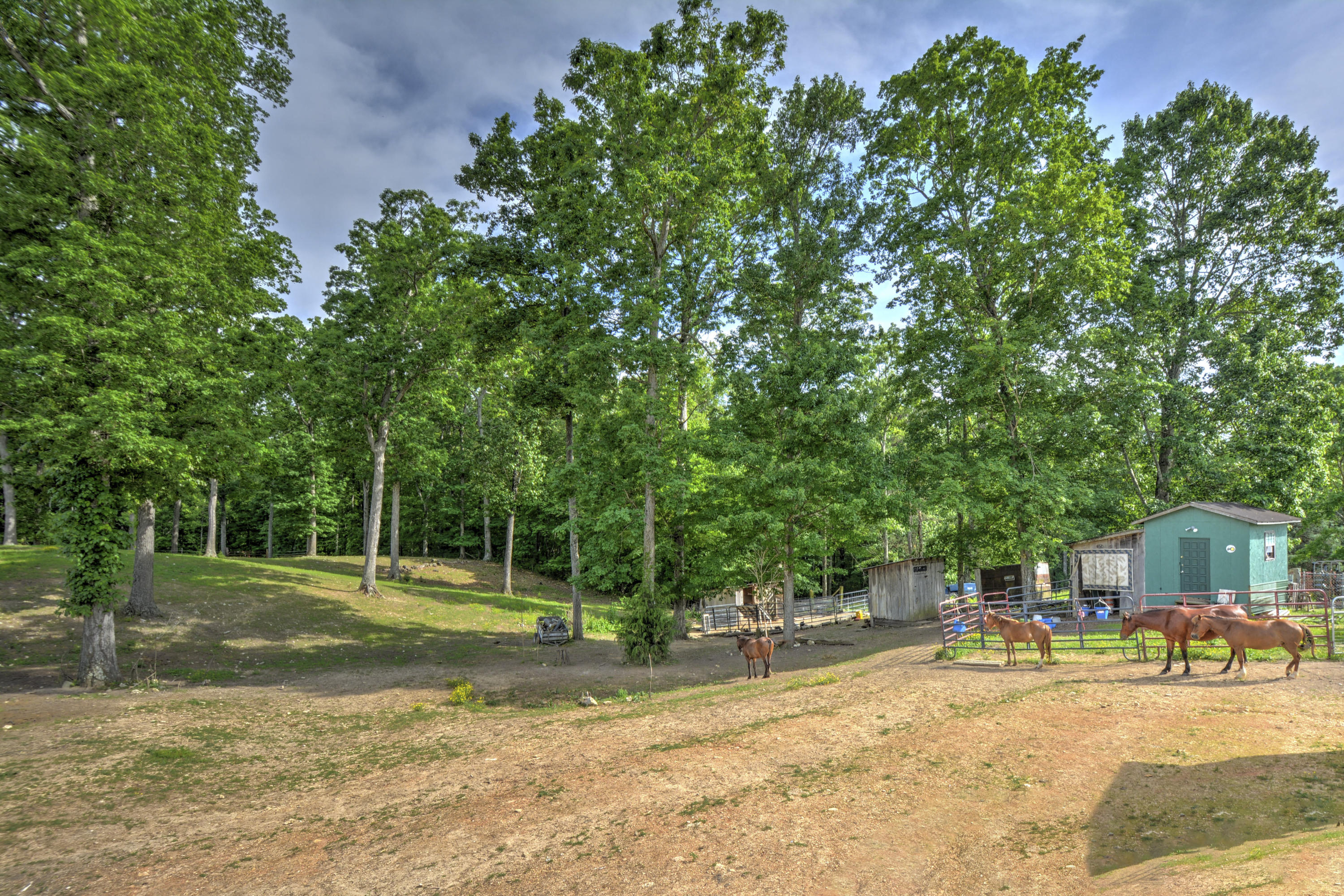 1328 Elm Springs Ridge Washburn, TN 37888 - Photo 13 of 21 elms spring ridge road pic 13