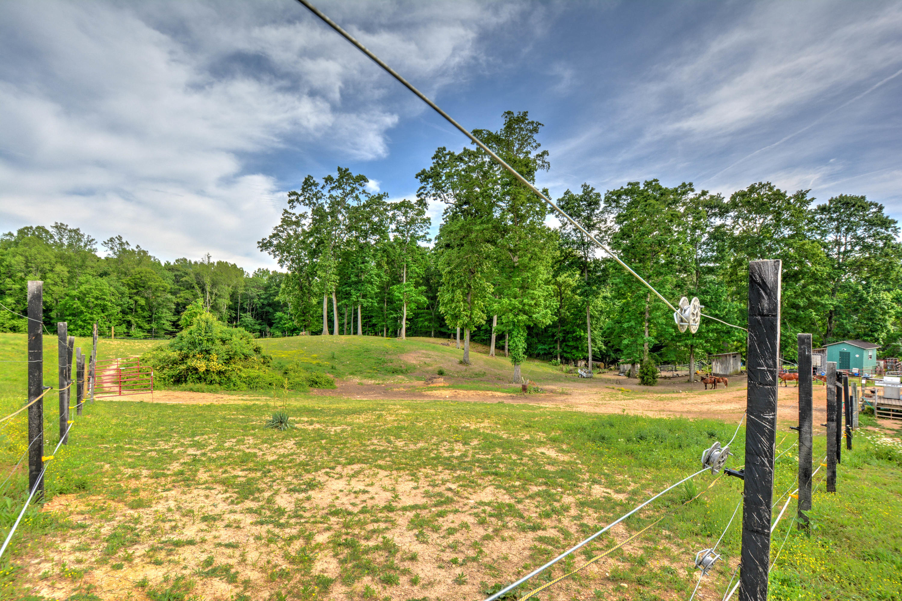 1328 Elm Springs Ridge Washburn, TN 37888 - Photo 14 of 21 elms spring ridge road pic 14