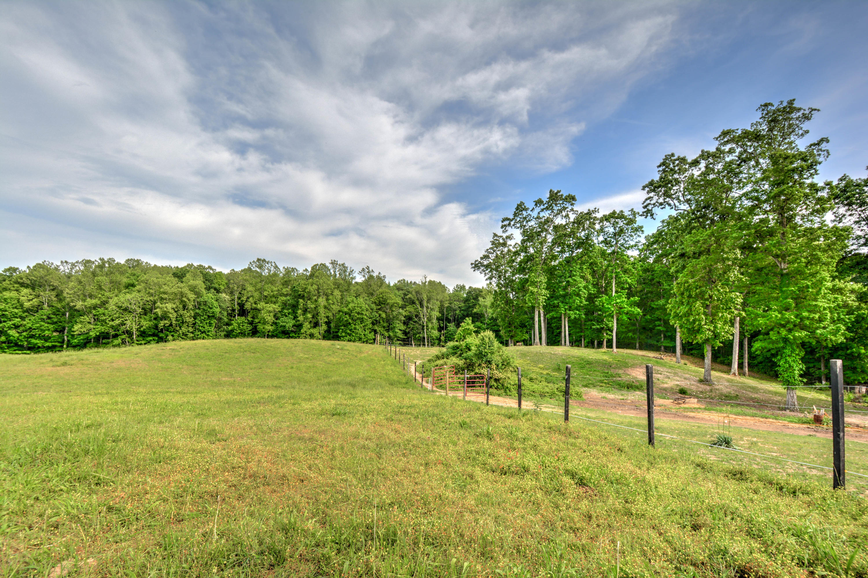 1328 Elm Springs Ridge Washburn, TN 37888 - Photo 17 of 21 elms spring ridge road pic 17