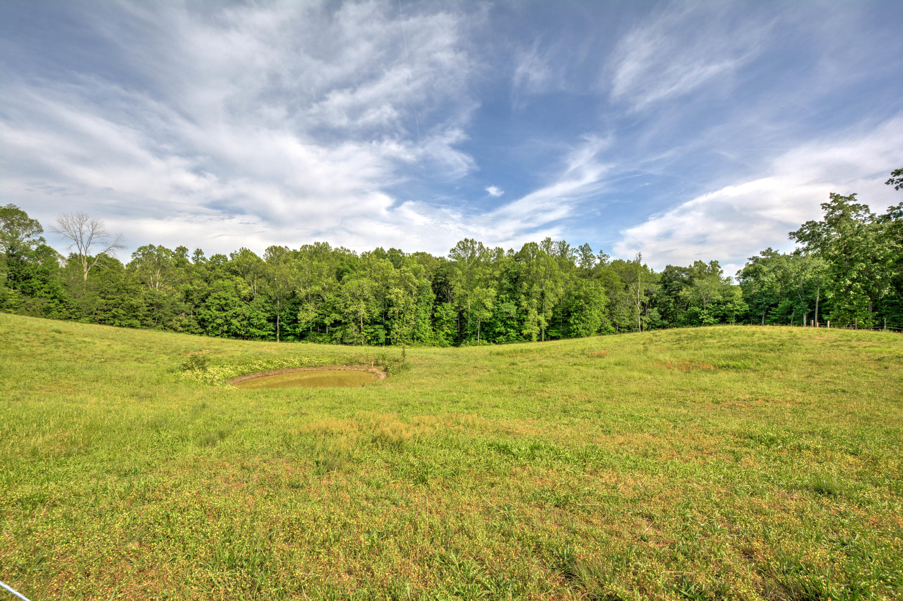 1328 Elm Springs Ridge Washburn, TN 37888 - Photo 20 of 21 elms spring ridge road 18