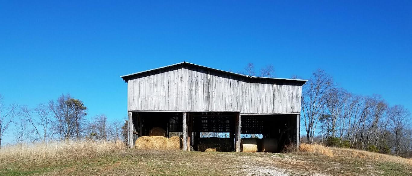 1328 Elm Springs Ridge Washburn, TN 37888 - Photo 21 of 21 1328 elm springs ridge road barn