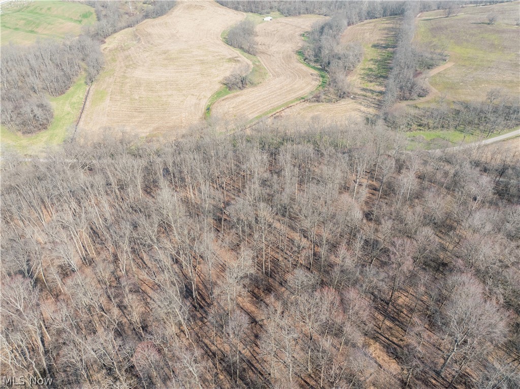 Coal Road Newcomerstown, OH 43832 - Photo 3 of 6 Gallery Image 3