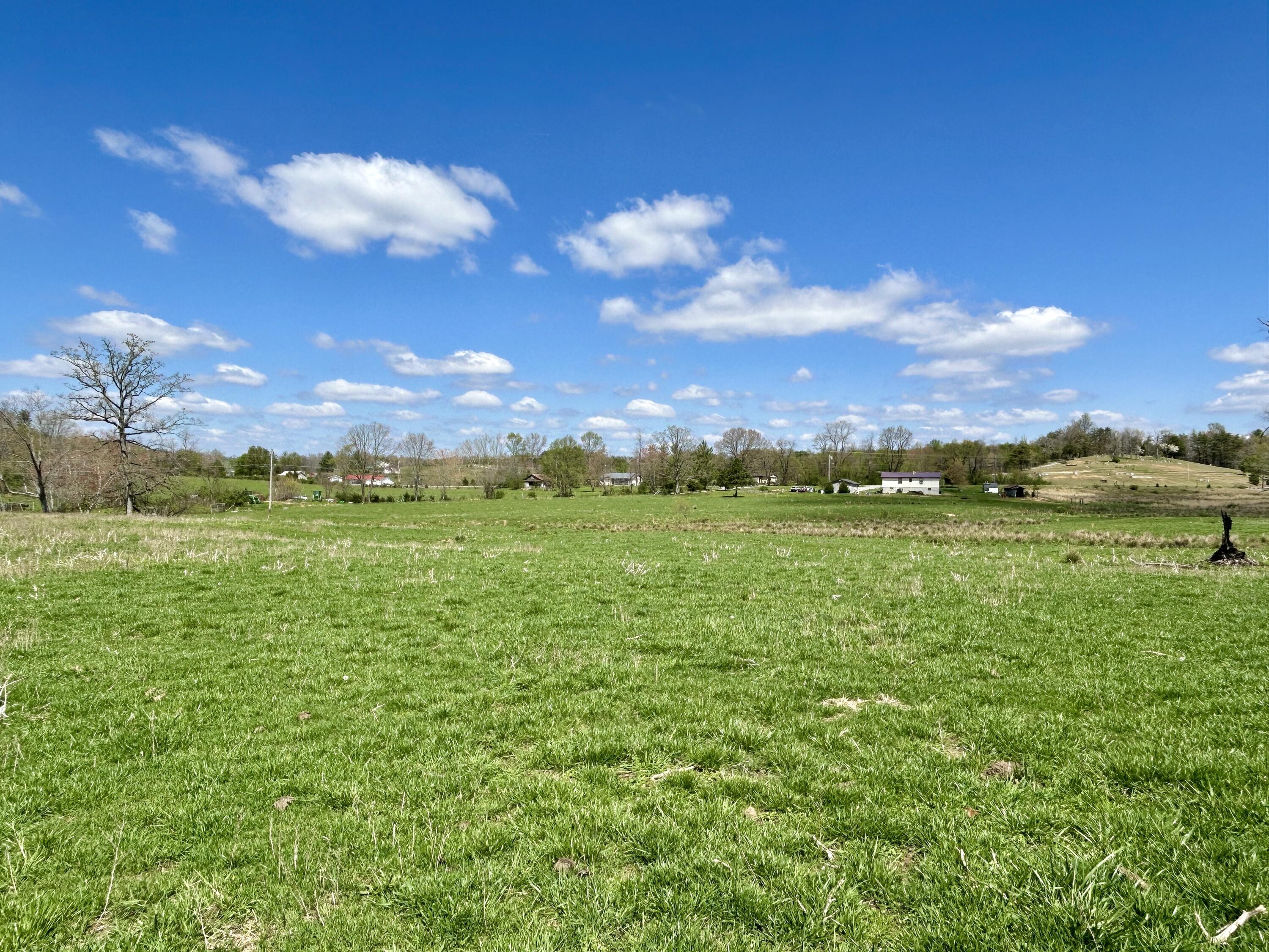428 Dick Wilson Road Strunk, KY 42649 - Photo 8 of 20 IMG_7573
