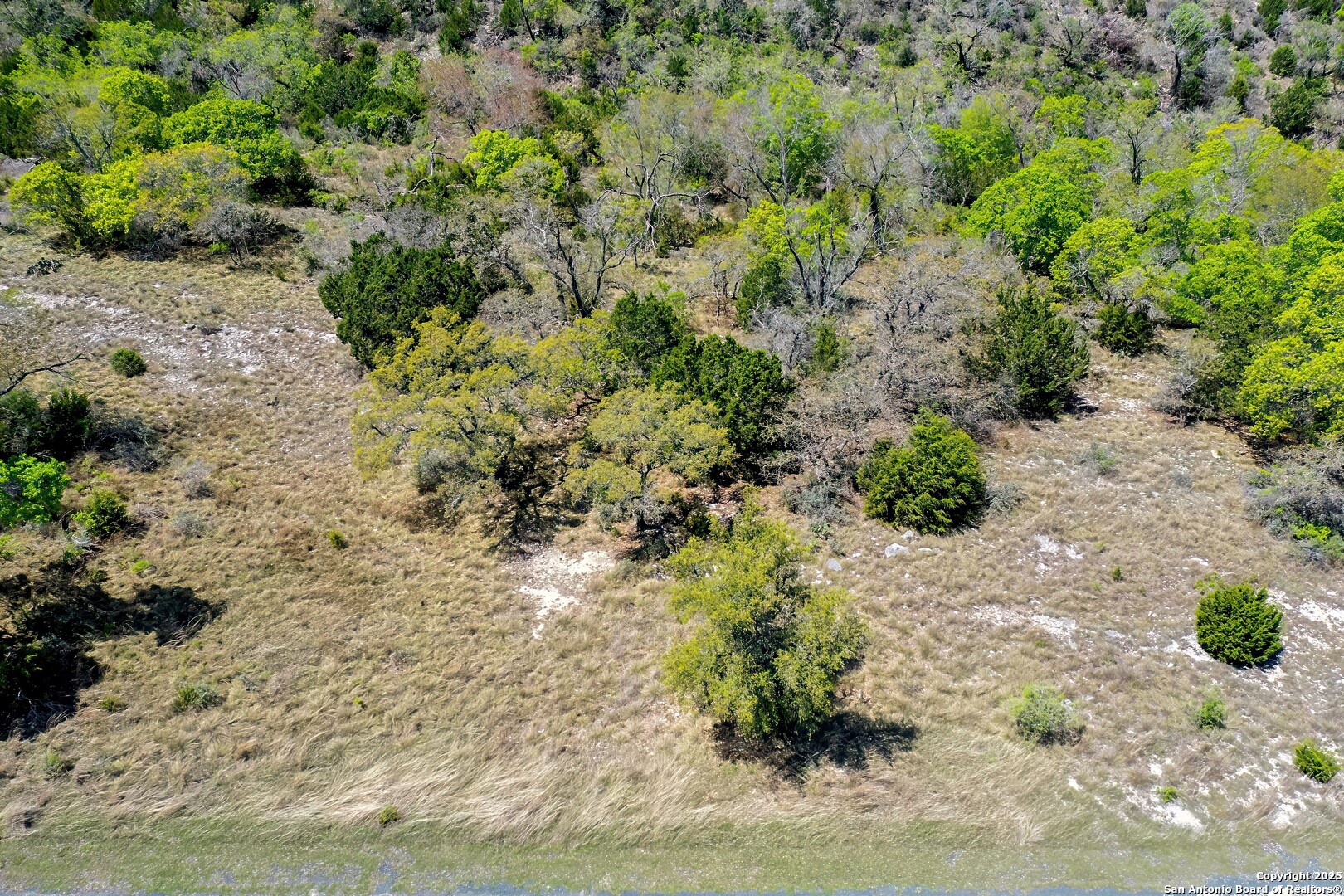 331 Echo Falls Road Comfort, TX 78013 - Photo 11 of 15 a view of a plants with a plant
