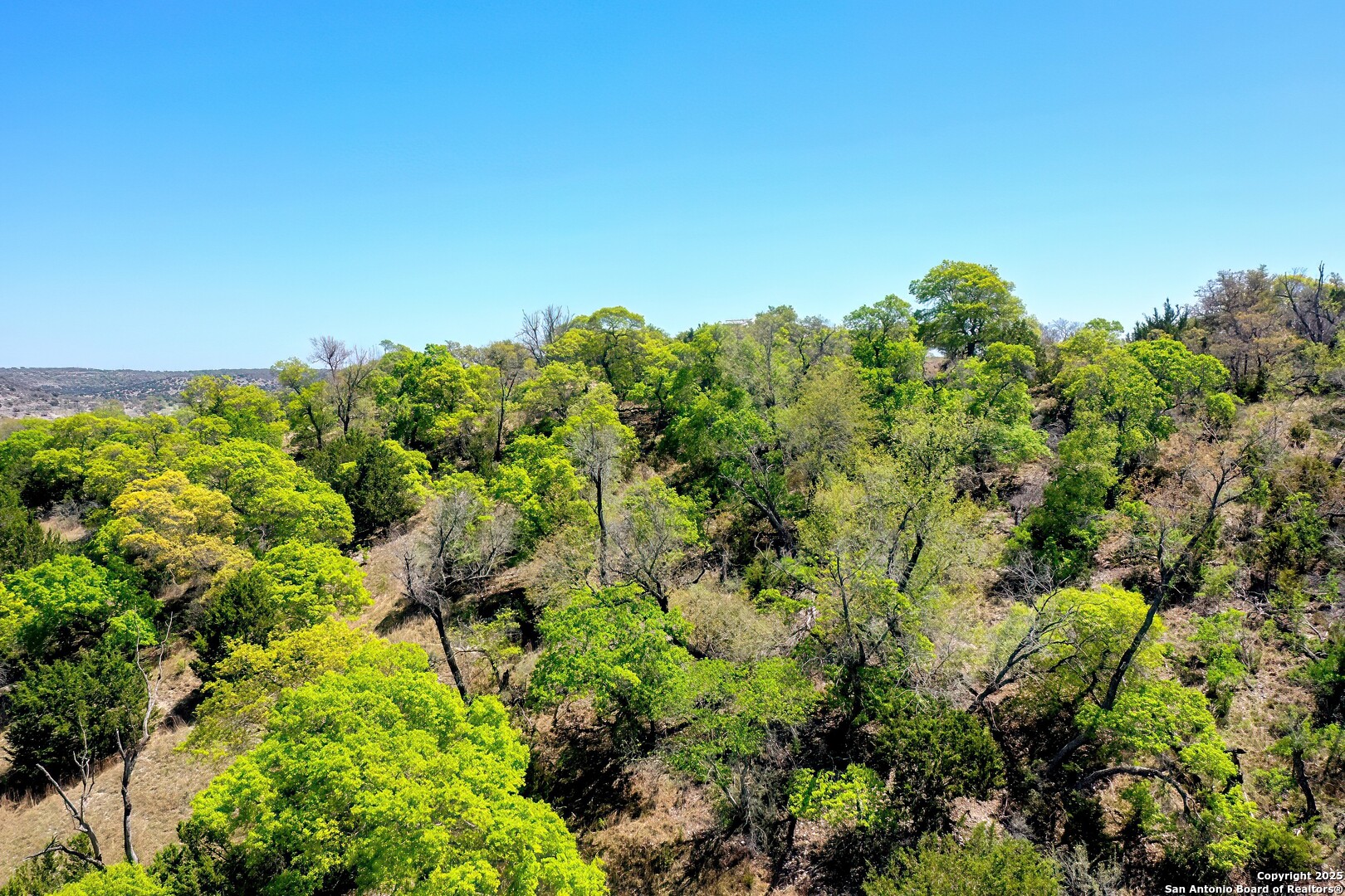 331 Echo Falls Road Comfort, TX 78013 - Photo 6 of 15 a backyard of a house with lots of green space and garden
