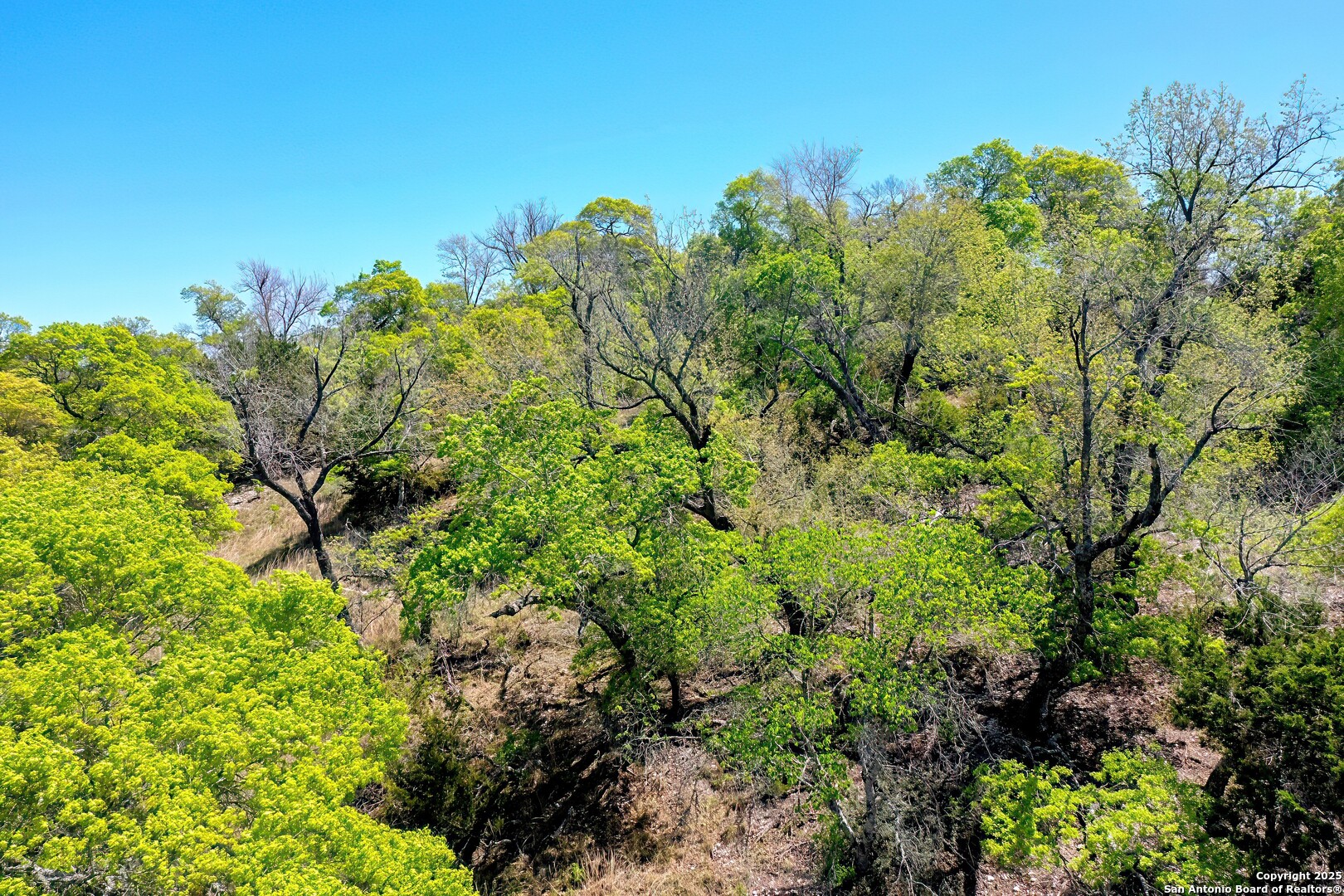 331 Echo Falls Road Comfort, TX 78013 - Photo 8 of 15 a view of a garden with plants