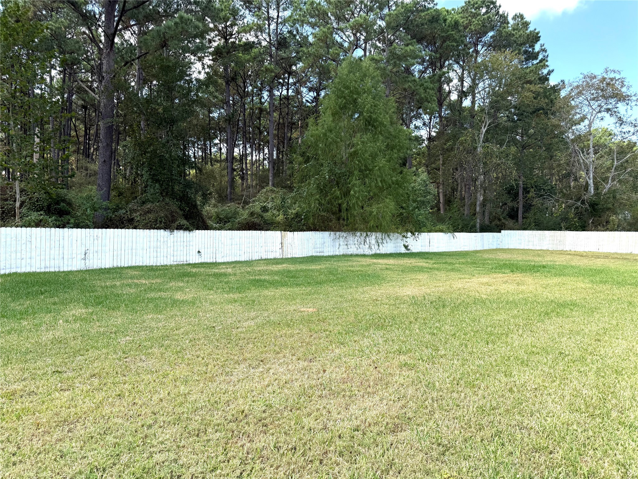 9822 Candy Court, Unit B Spring, TX 77379 - Photo 24 of 27 a view of an outdoor space and a yard