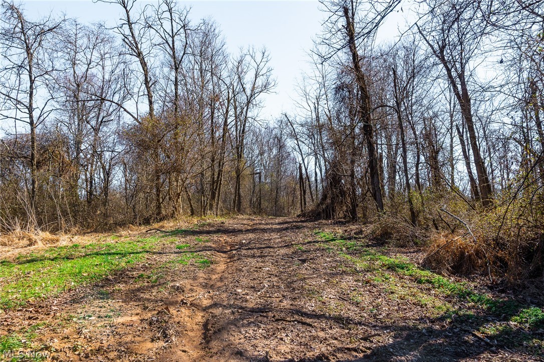 Sheepskin Ridge Road Lower Salem, OH 45745 - Photo 21 of 50 Gallery Image 21