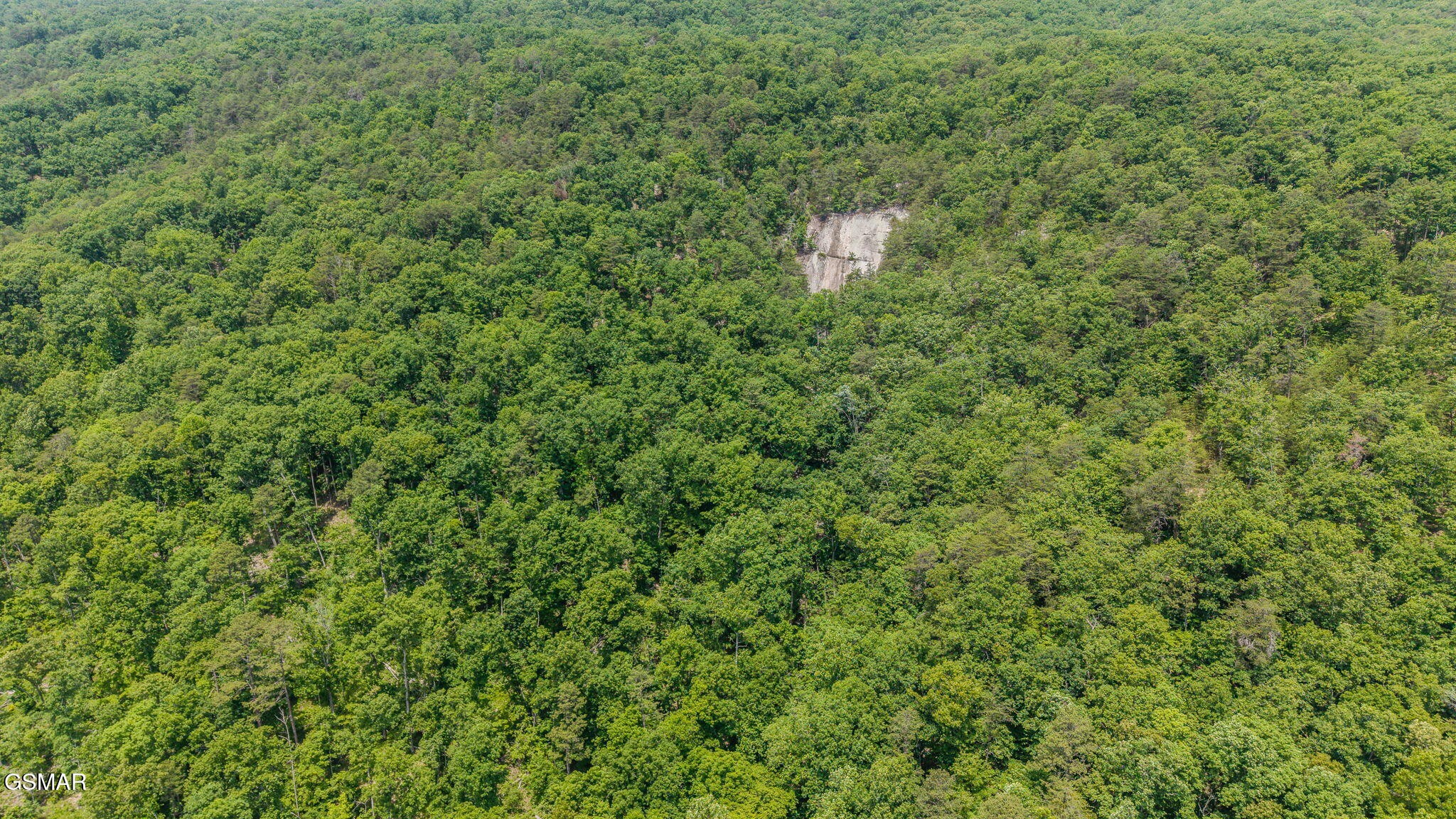 0 Poor Valley Road Rutledge, TN 37861 - Photo 7 of 9