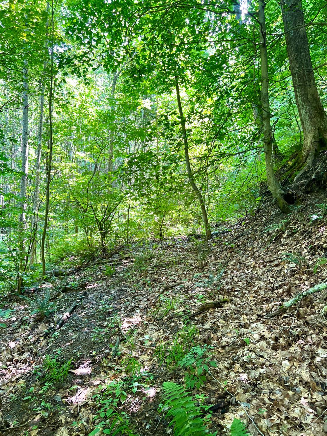 0 South Chenoweth Fork Road Piketon, OH 45661 - Photo 81 of 95
