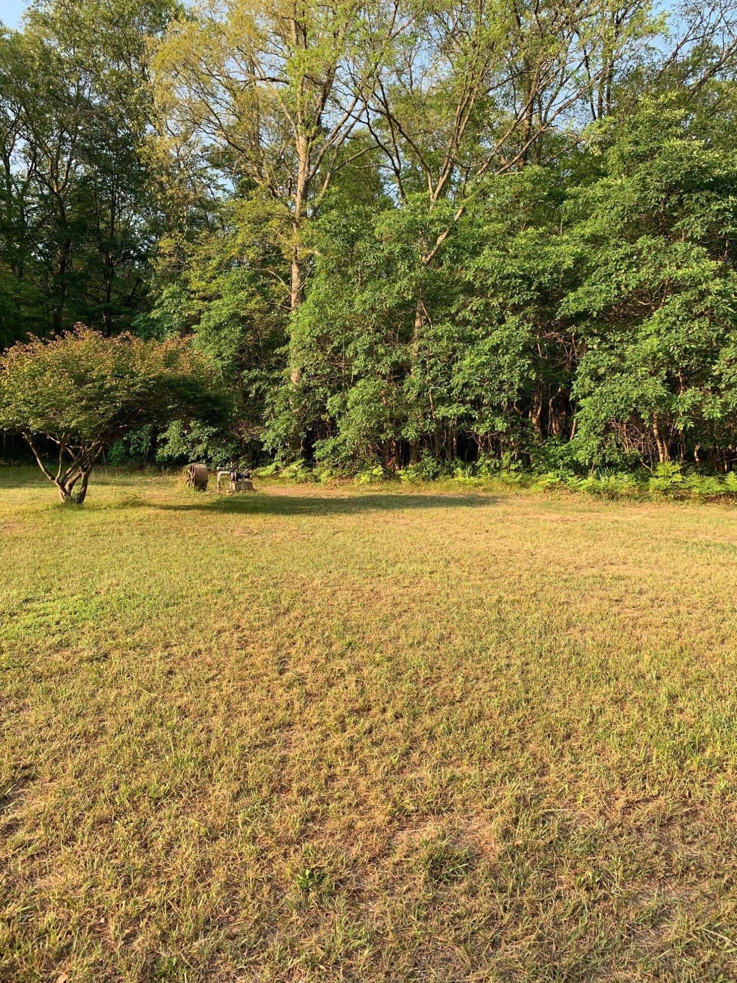 4033 Orshal Road Whitehall, MI 49461 - Photo 5 of 23 b