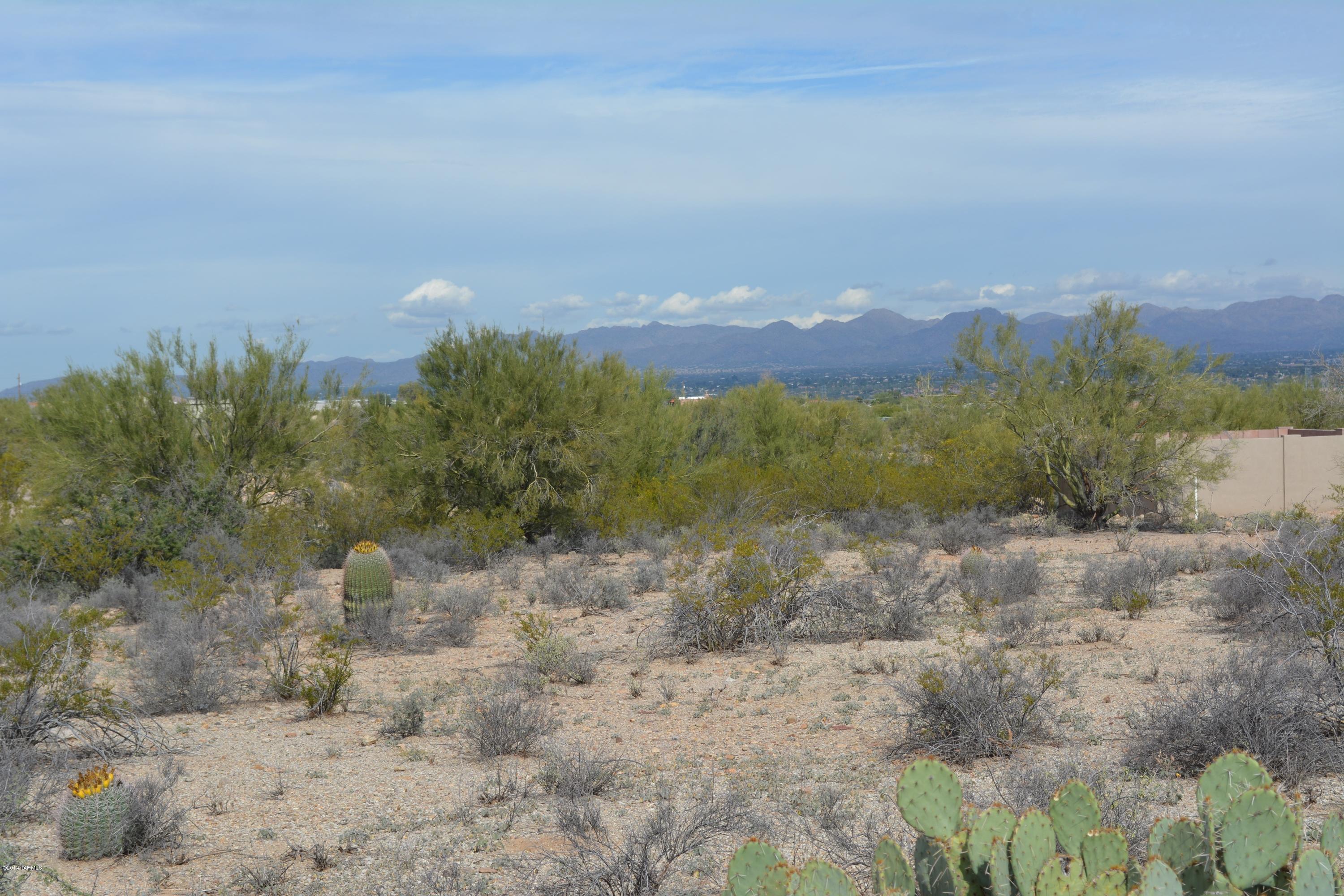 4808 West Sunset Road Tucson, AZ 85743 - Photo 10 of 14 Gallery Image 10