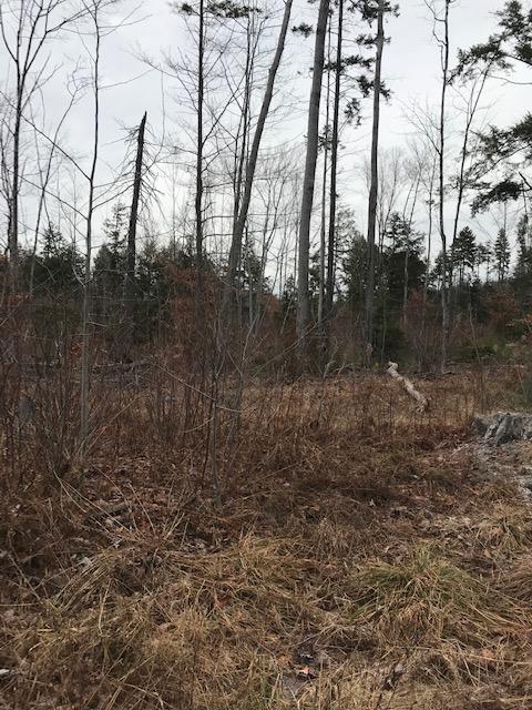 126 Durham Road Freeport, ME 04032 - Photo 3 of 3 IMG_0606