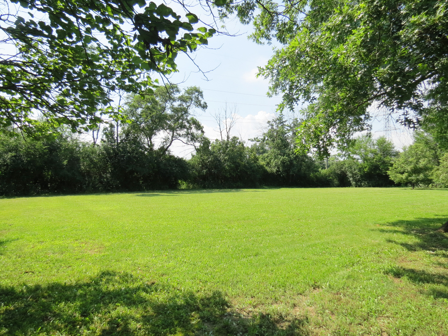 12970 McCarthy Road Lemont, IL 60439 - Photo 42 of 46 a view of a field with a tree