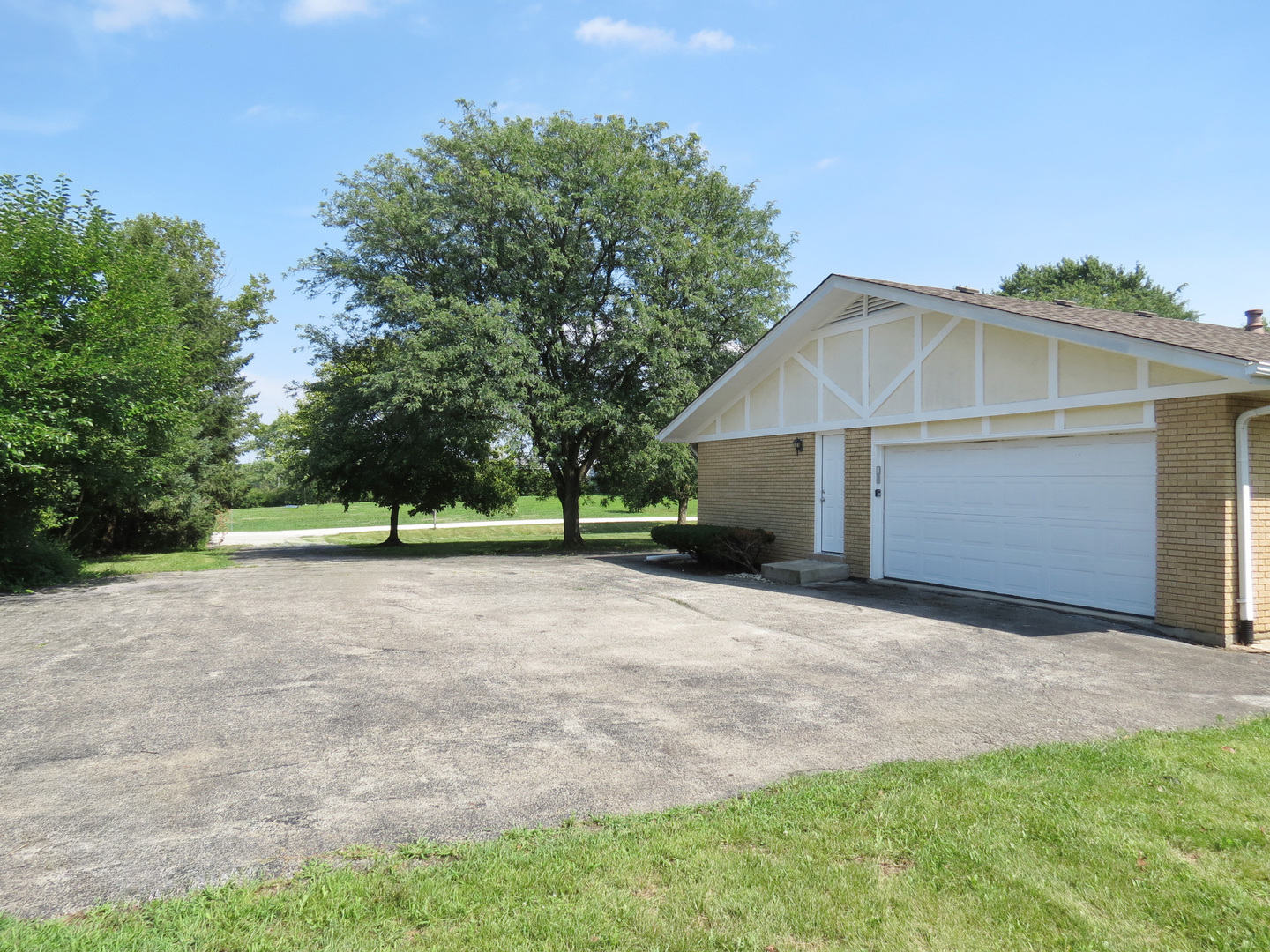 12970 McCarthy Road Lemont, IL 60439 - Photo 45 of 46 a view of a house with a yard and tree