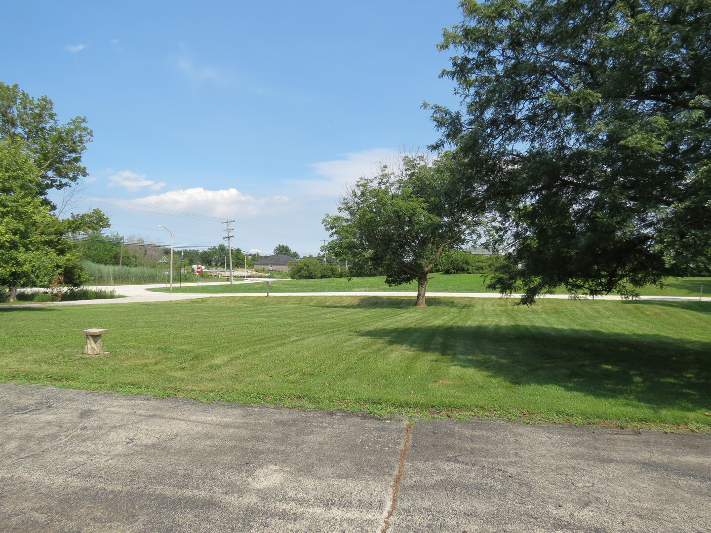 12970 McCarthy Road Lemont, IL 60439 - Photo 5 of 46 a view of a park with large trees