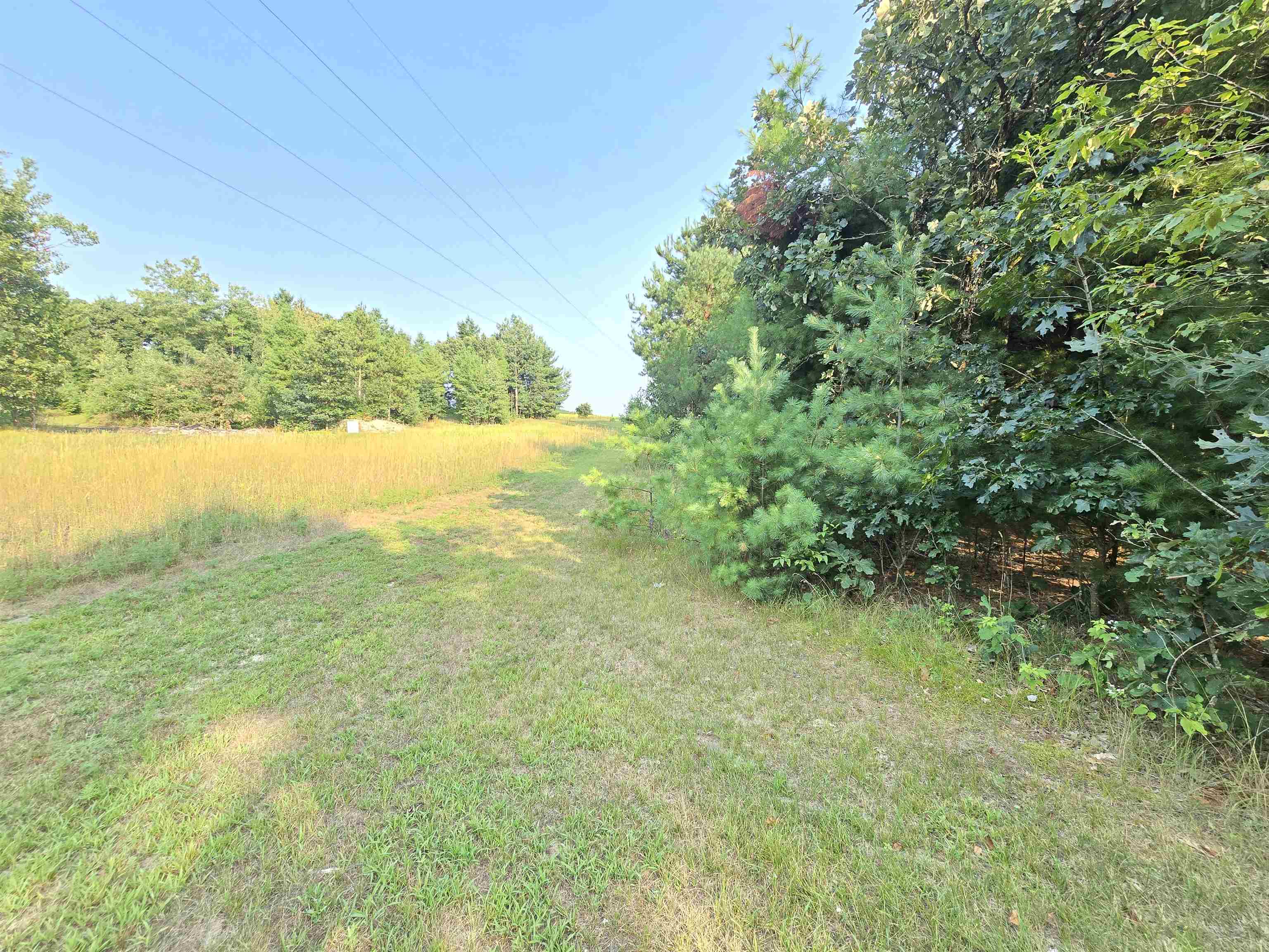 N4980 Sand Lake Road Plainfield, WI 54966 - Photo 9 of 28 Gallery Image 9