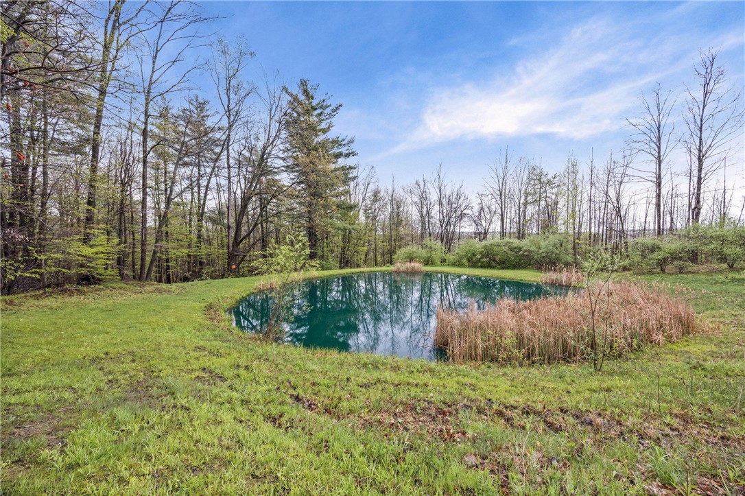 4731 Christian Road Ossian, NY 14437 - Photo 40 of 50