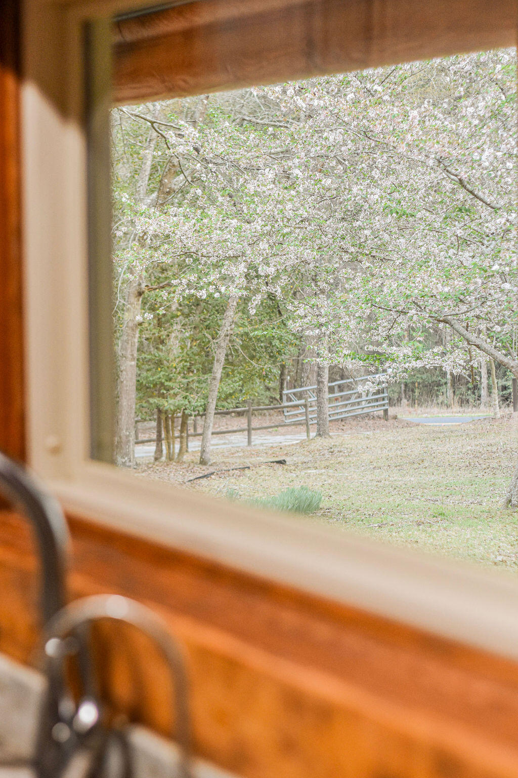 125 Nicholson Road Trenton, SC 29847 - Photo 12 of 55 DSC_4709