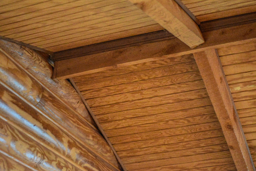 125 Nicholson Road Trenton, SC 29847 - Photo 26 of 55 DSC_4639