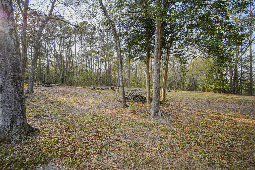 125 Nicholson Road Trenton, SC 29847 - Photo 49 of 55 DSC_4354