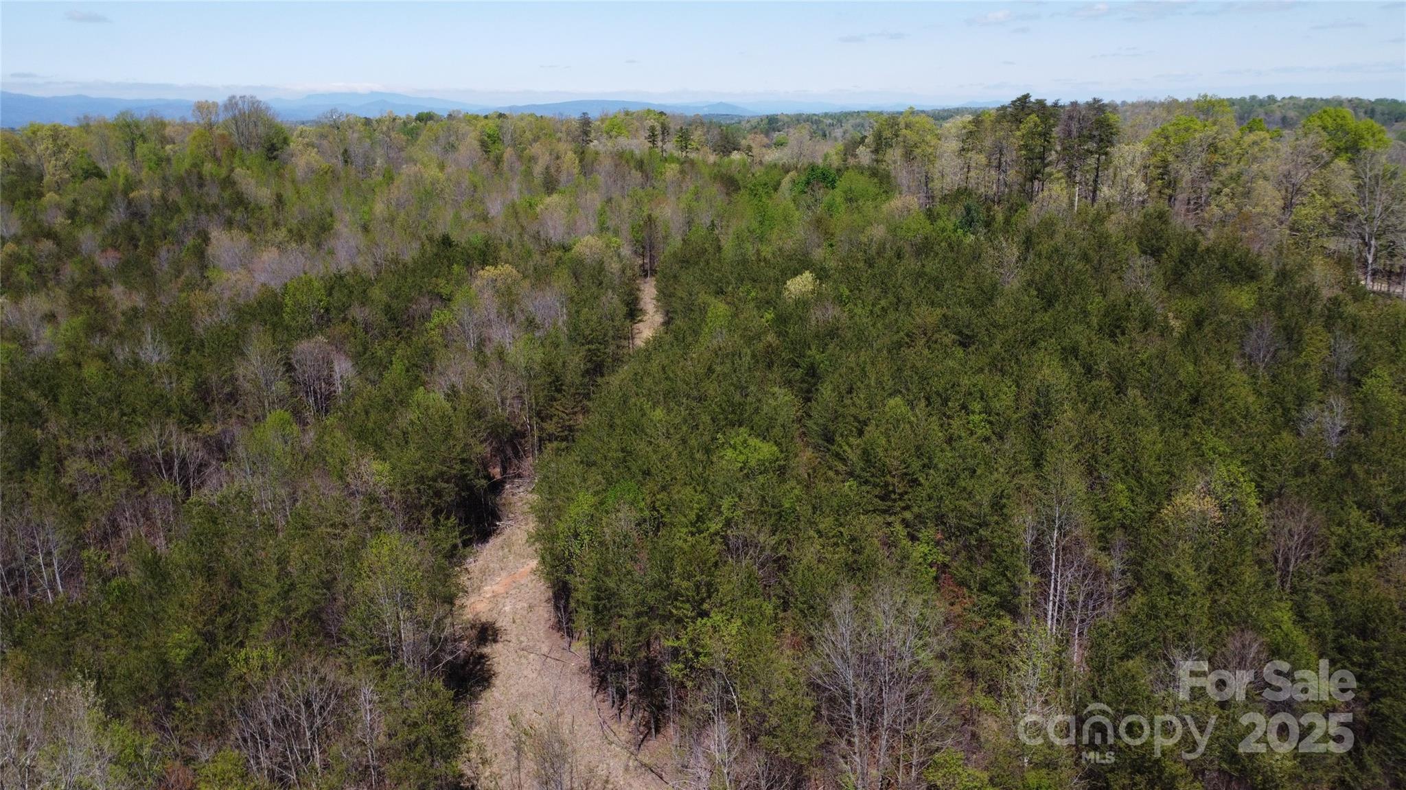 0 Snowhill Church Road Morganton, NC 28655 - Photo 18 of 40