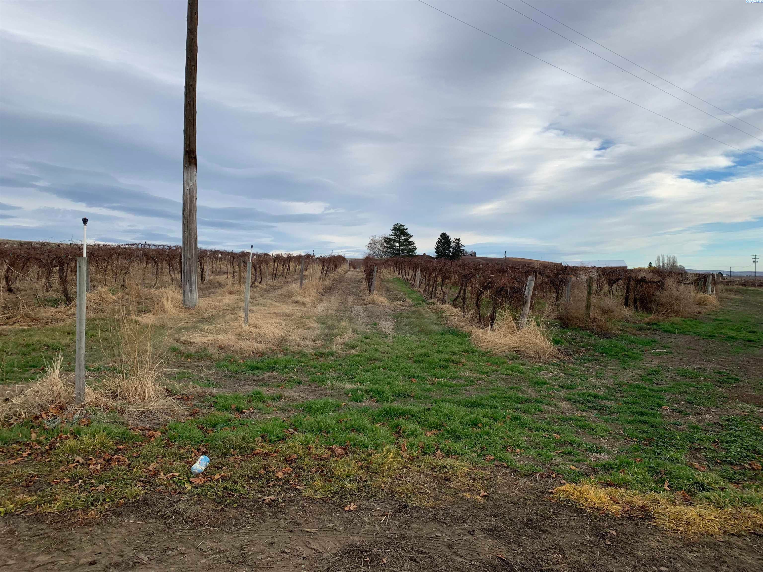 Tbd West Olsen Road Grandview, WA 98930 - Photo 15 of 16 Gallery Image 15