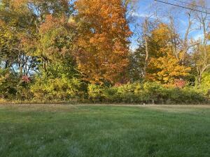 4073 Buttermilk Road Lexington, KY 40509 - Photo 80 of 124 image