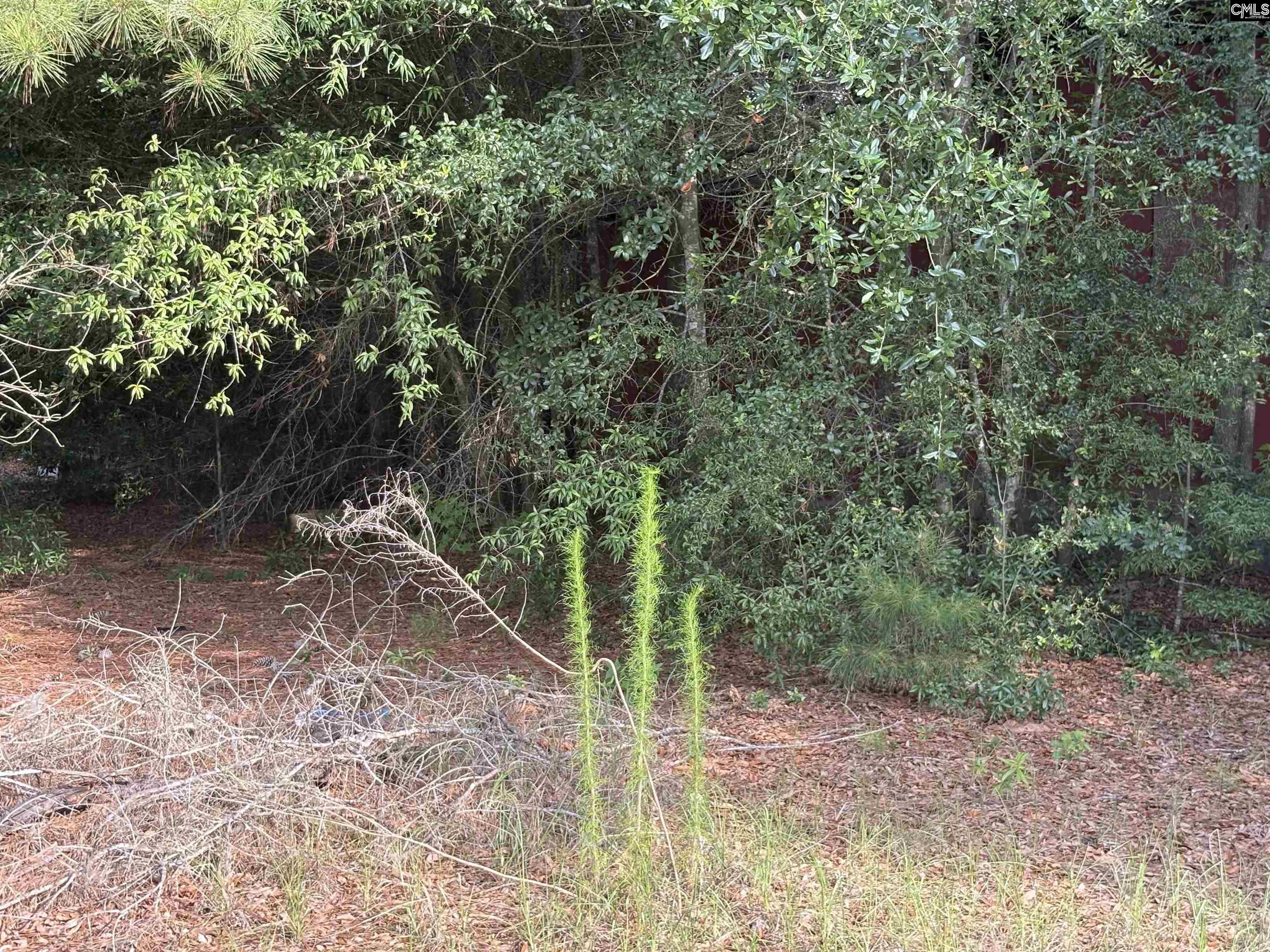 545 Flinns Road Hartsville, SC 29550 - Photo 10 of 14