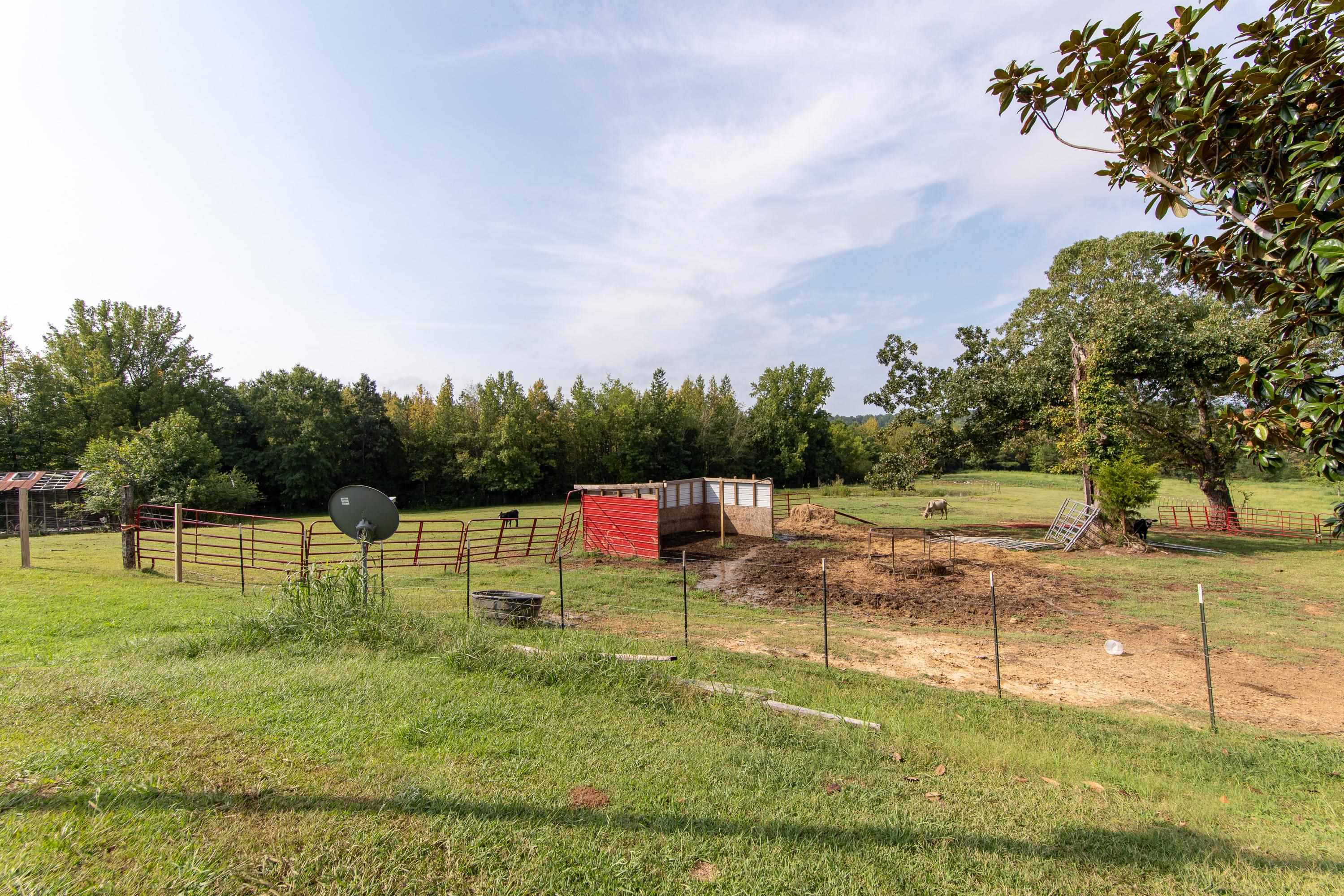 90 Carter Road Saltillo, TN 38370 - Photo 17 of 25 Gallery Image 17