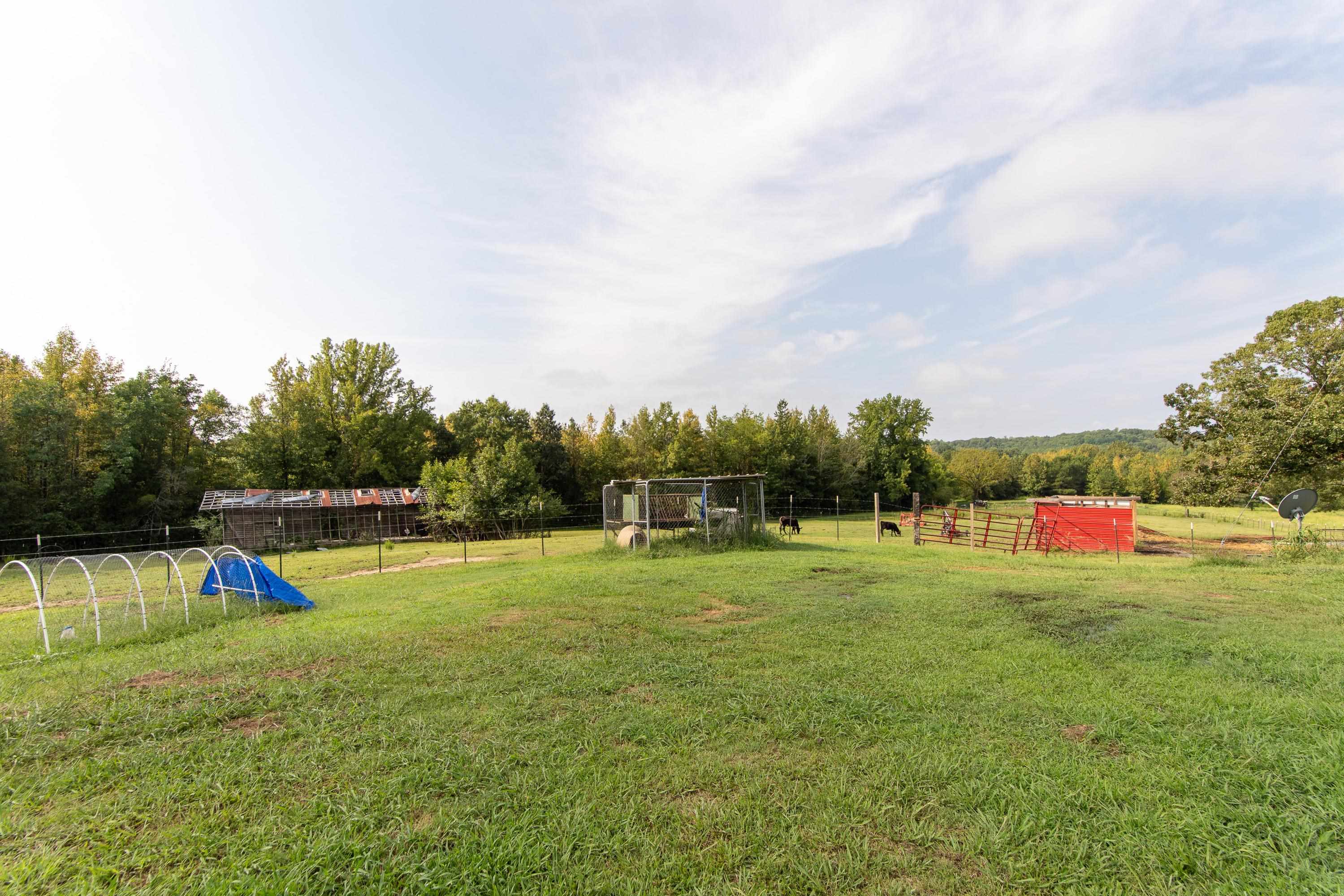90 Carter Road Saltillo, TN 38370 - Photo 18 of 25 Gallery Image 18