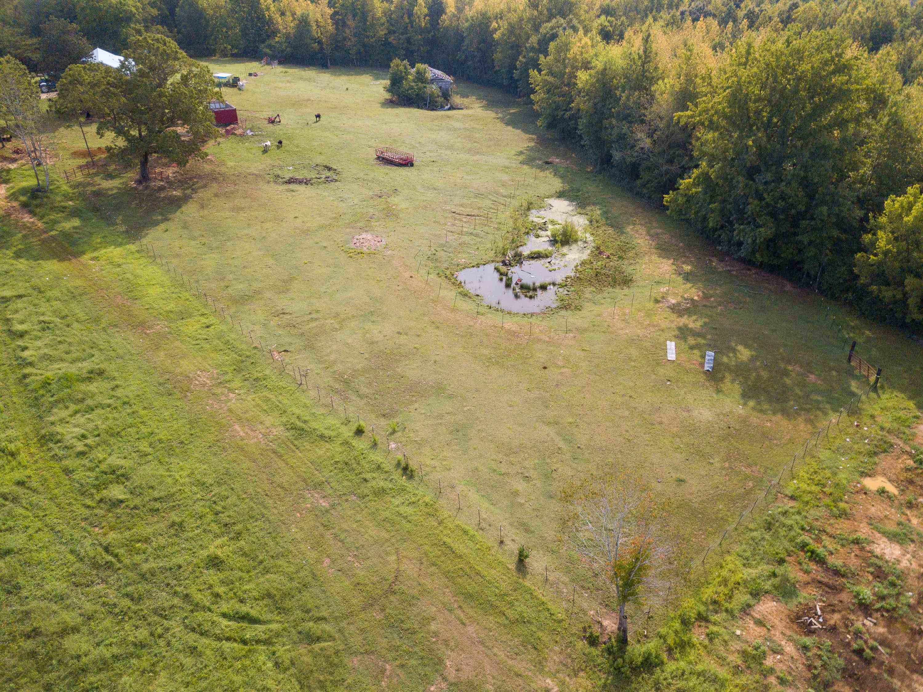 90 Carter Road Saltillo, TN 38370 - Photo 19 of 25 Gallery Image 19