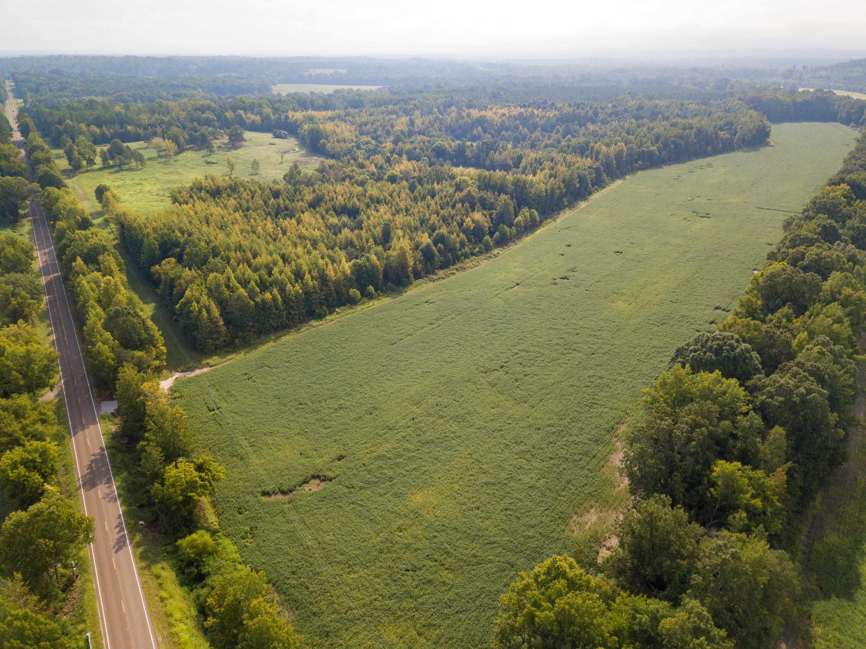 90 Carter Road Saltillo, TN 38370 - Photo 21 of 25 Gallery Image 21