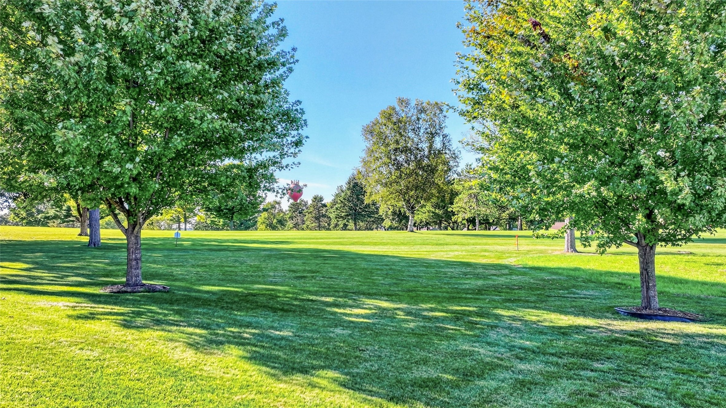 W514 Oak Street Spring Valley, WI 54767 - Photo 7 of 42 Gallery Image 7