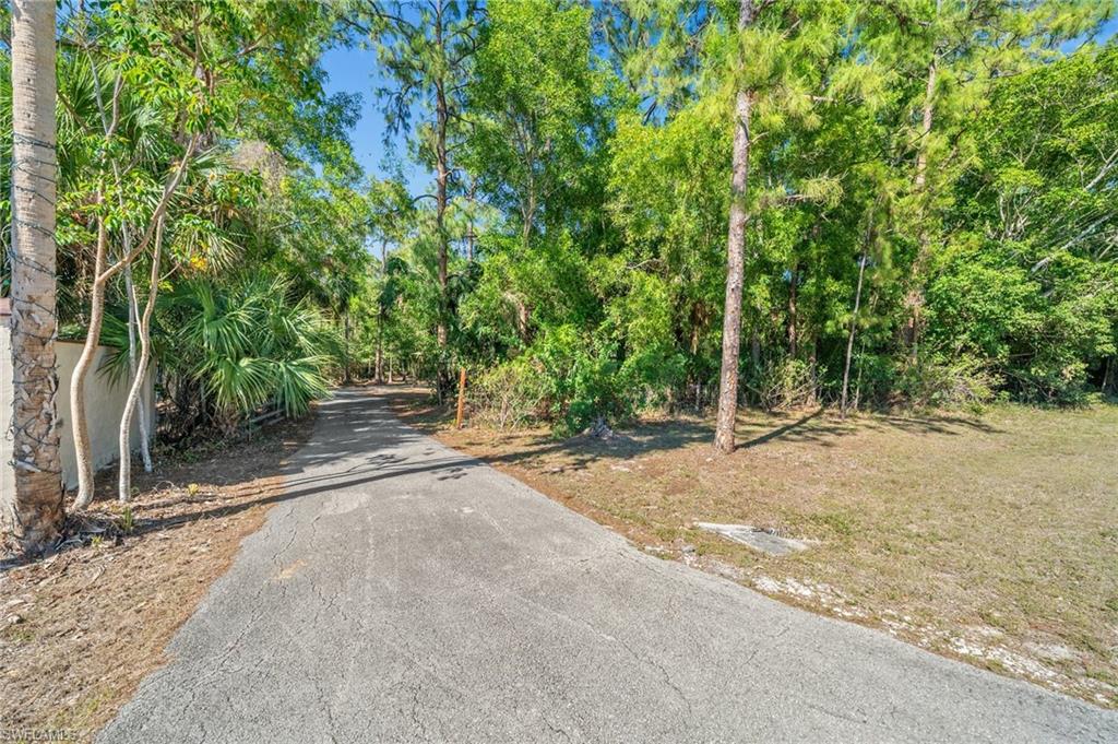 3775 27th Avenue Southwest Naples, FL 34117 - Photo 28 of 38 a view of backyard with green space