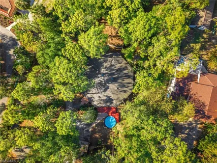 a view of a flower in a garden