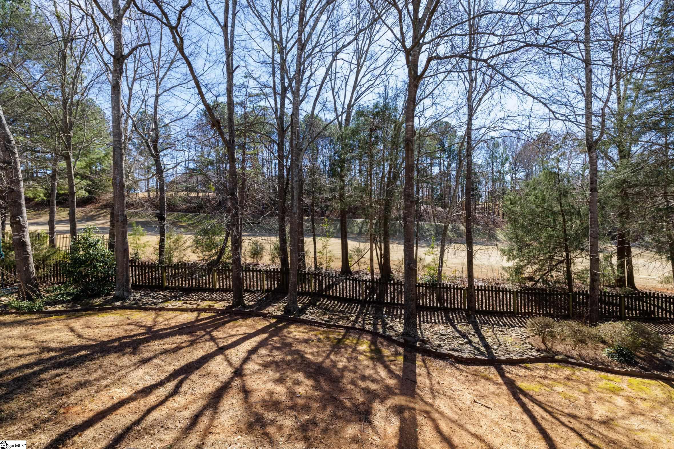 237 Penick Drive Duncan, SC 29334 - Photo 30 of 46