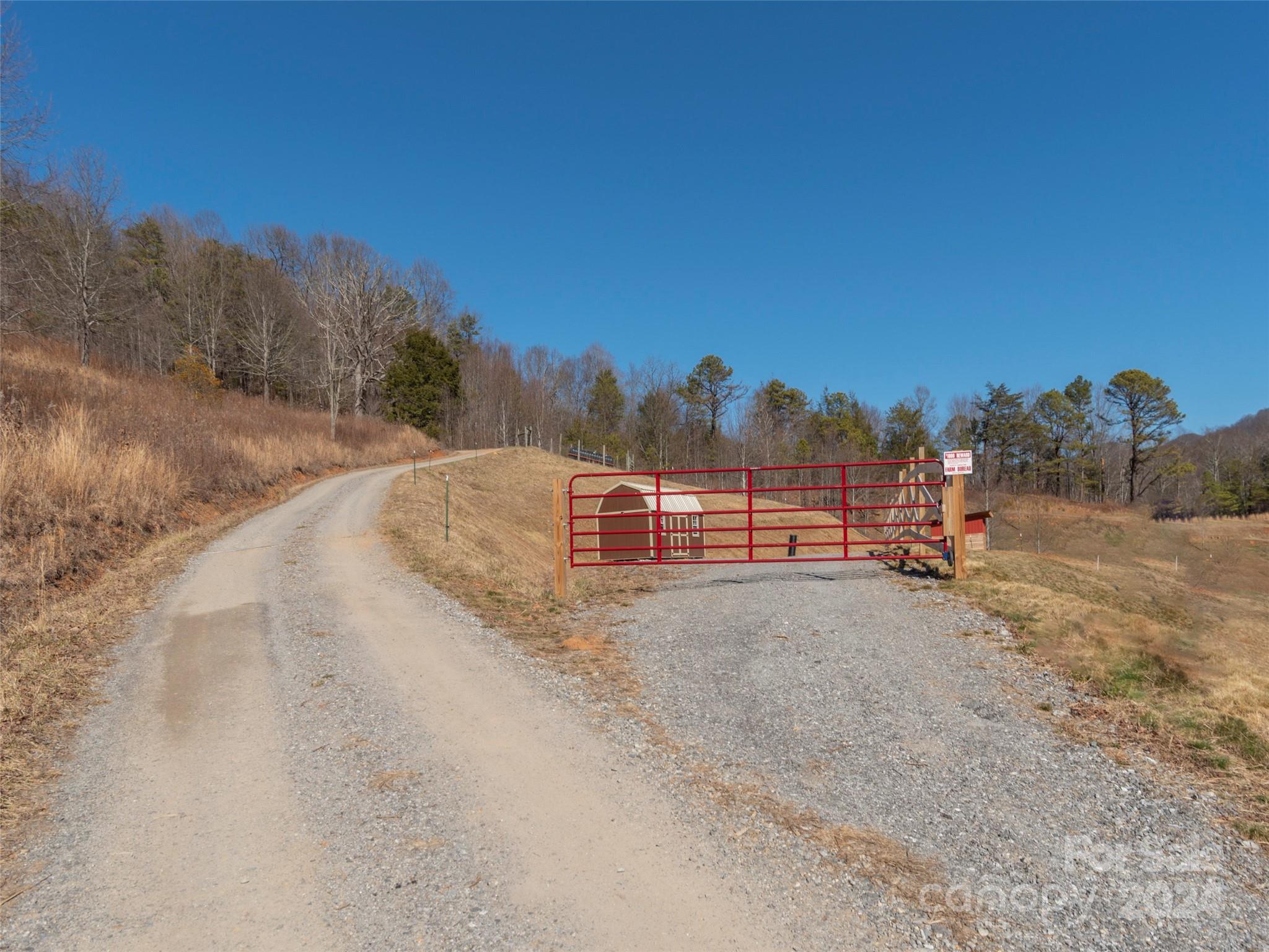 0 Fox Run Road Canton, NC 28716 - Photo 1 of 9 a view of road with large trees